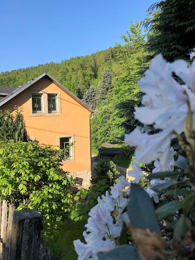 Fuchsbau Apartment Konigstein an der Elbe Bagian luar foto